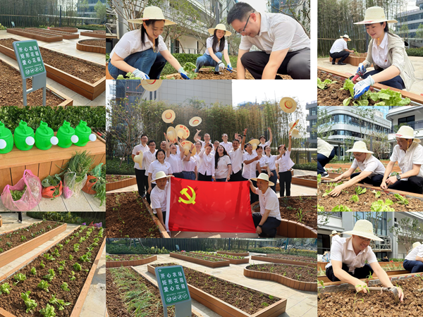 六安公司党总支开展“躬耕实践强党性，携手共建新田园”主题党日运动