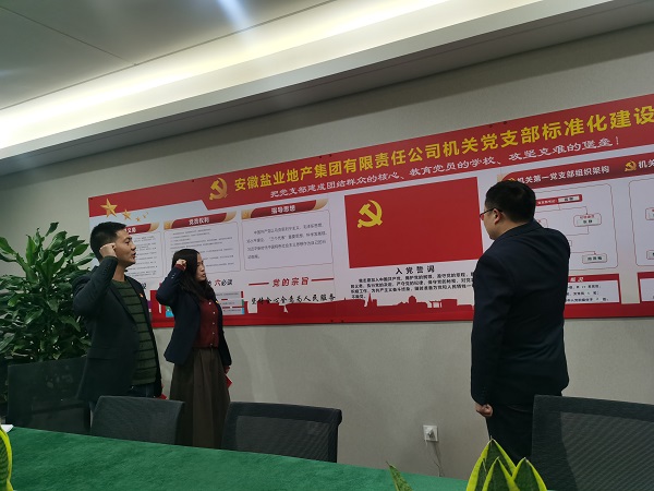 安徽盐业地产集团机关第一党支部开展“佩党徽、诵誓词、赠党章、上党课”党员教育运动