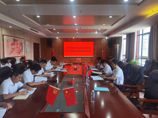 高广飞督导徽盐地产集团定远项目党支部组织生涯会