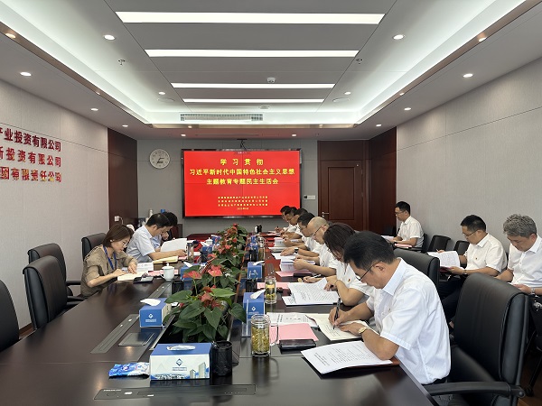 安徽盐业地产集团等三家公司党委召开学习贯彻习近平新时代中国特色社会主义头脑主题教育专题民主生涯会