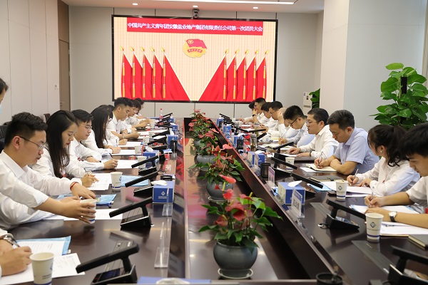 青春向党传薪火 踔厉高昂新时代——安徽盐业地产集团团支部建设大会暨团员大会胜利召开